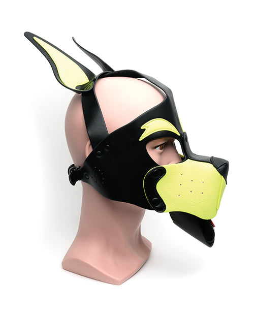 665 Playful Pup Hood - Black & Yellow