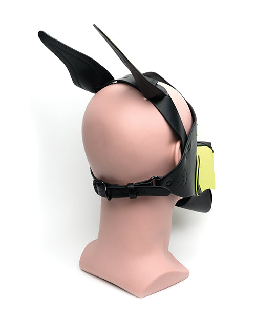 665 Playful Pup Hood - Black & Yellow